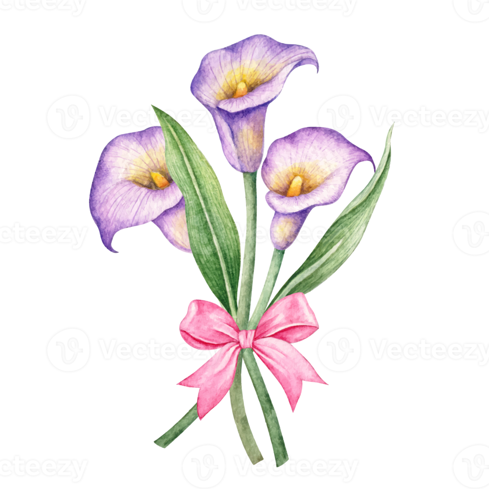 bloem en blad illustratie png