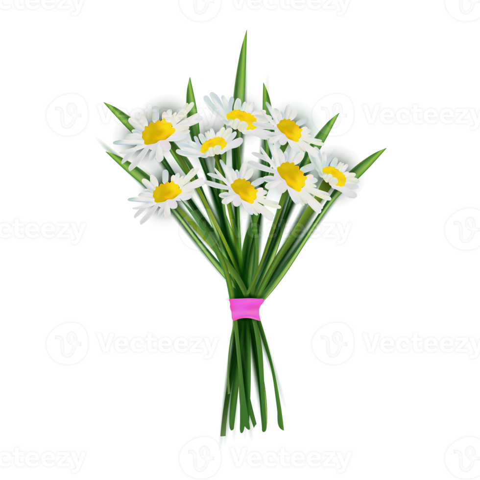 illustration de fleurs et de feuilles png