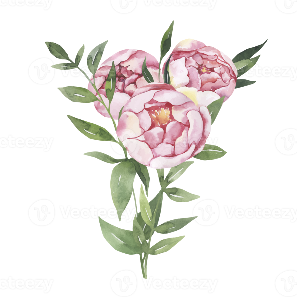 ilustração de flores e folhas png