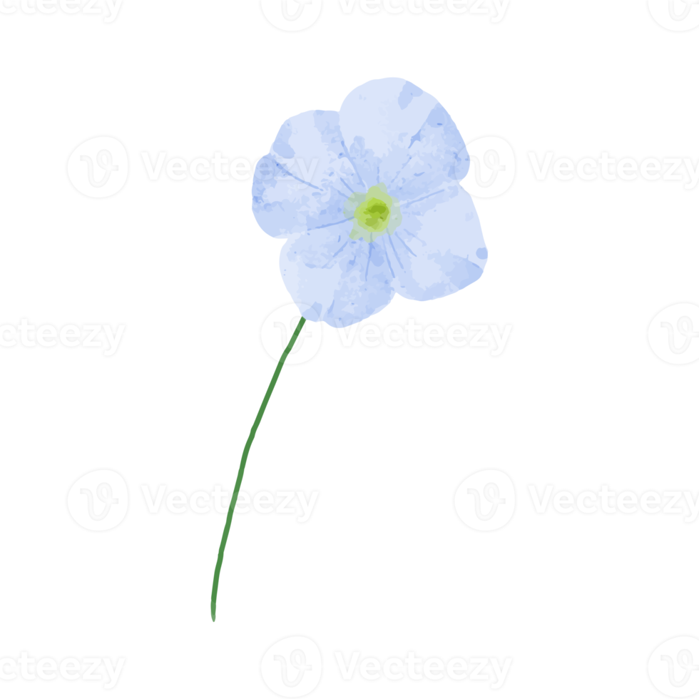 illustration de fleurs et de feuilles png