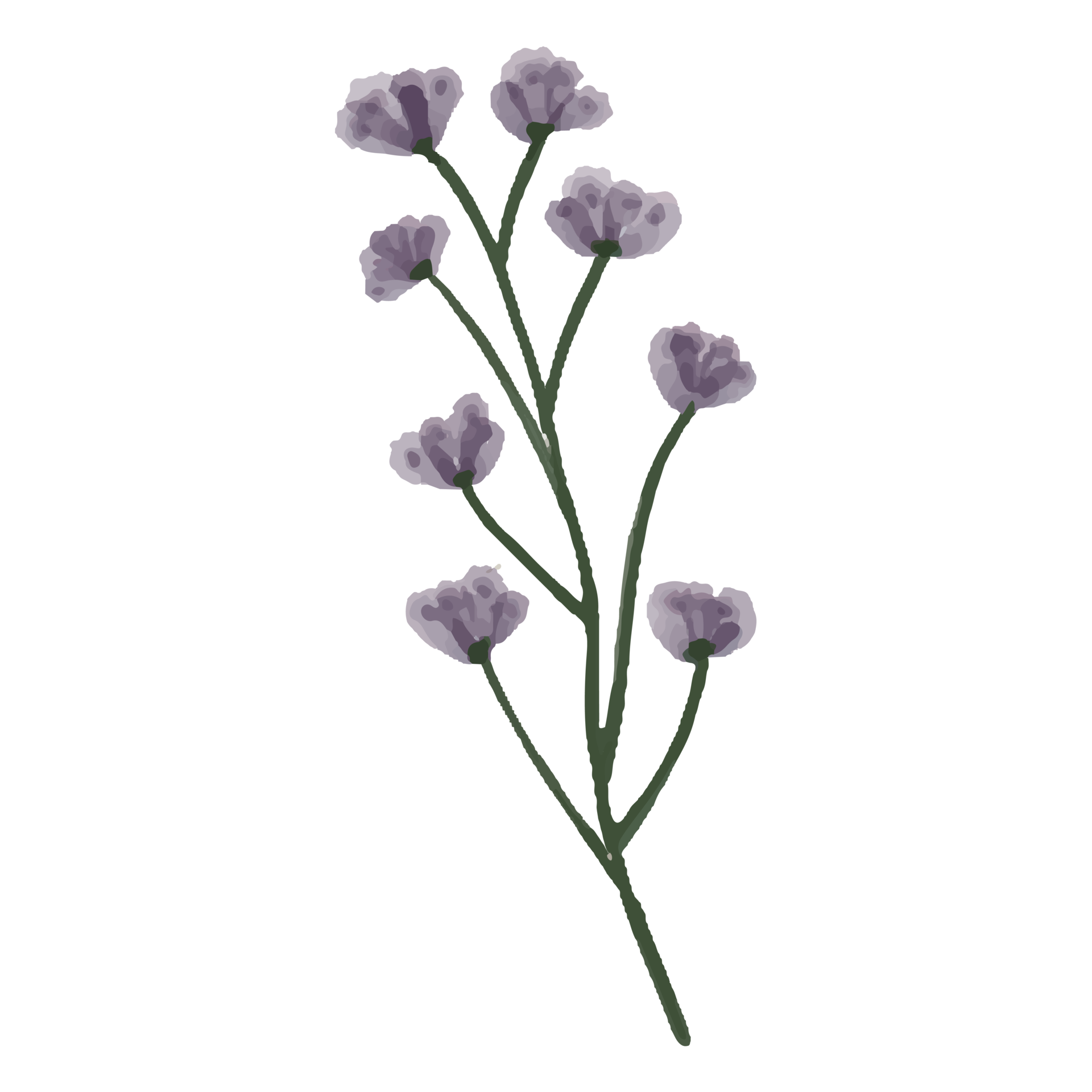 Flower and Leaf Illustration 12662252 PNG