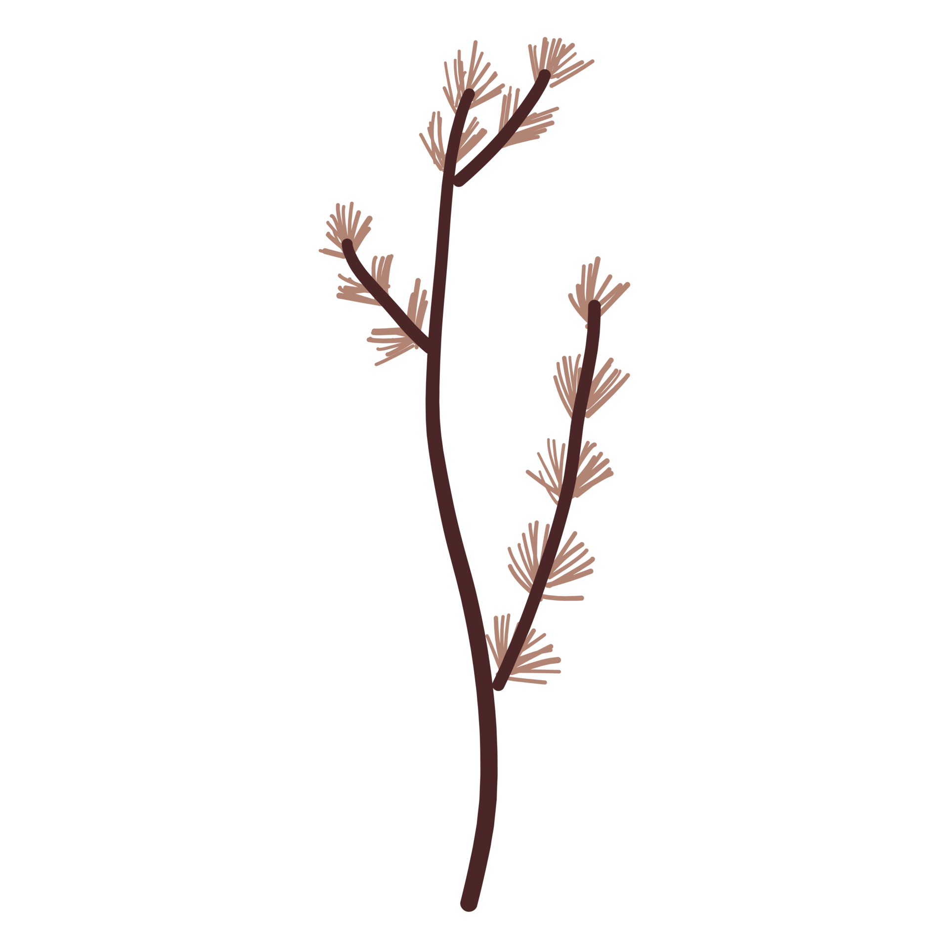 Flower and Leaf Illustration 12662481 PNG