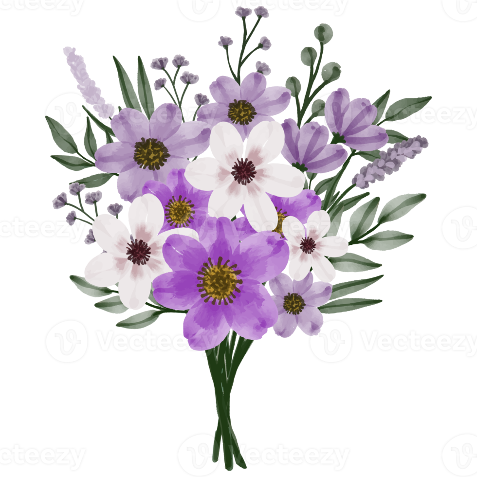 Flower and Leaf Illustration png