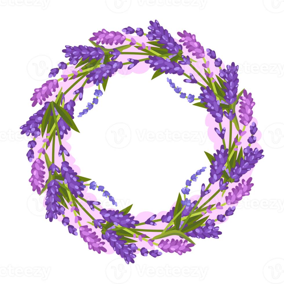 Flower and Leaf Illustration png