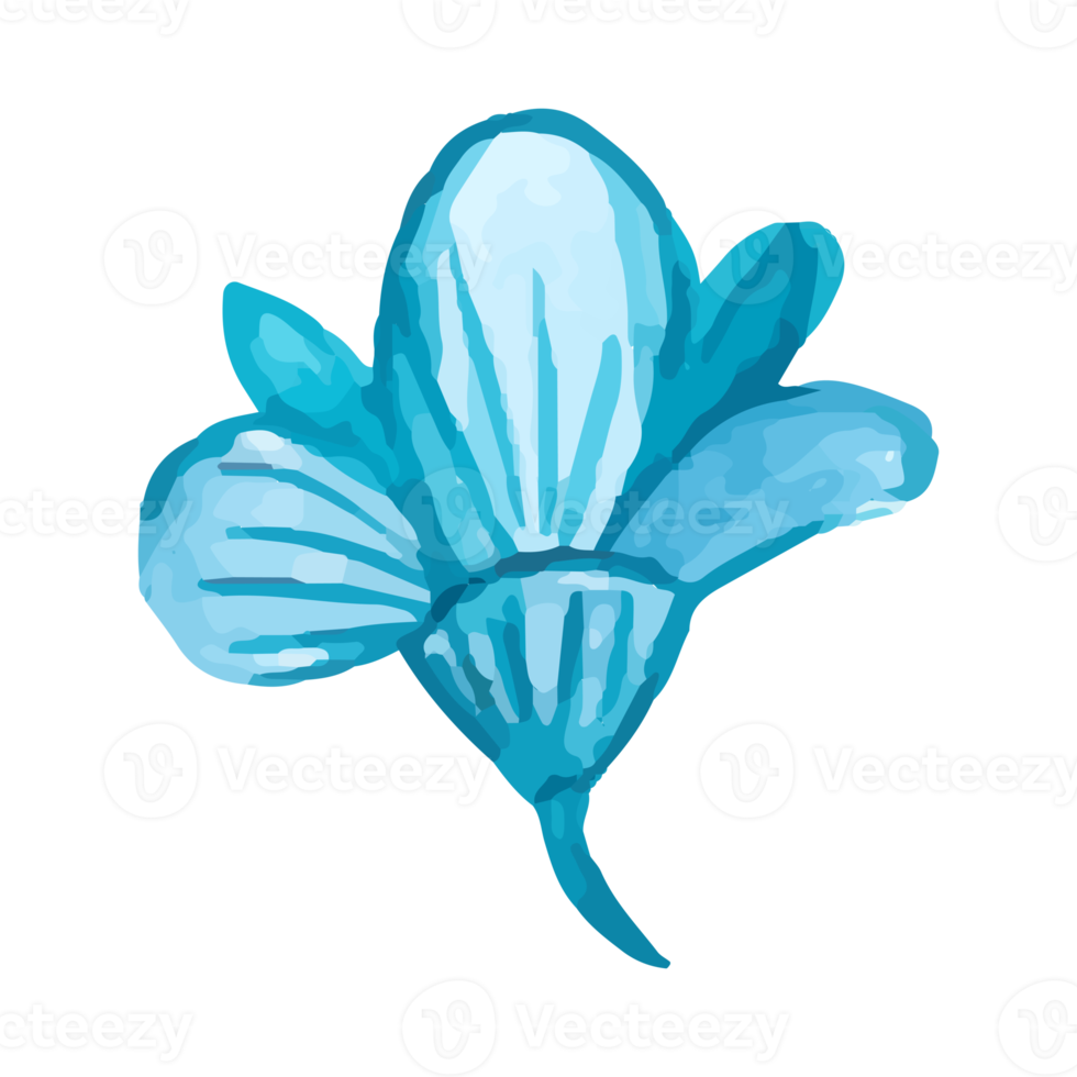 Flower and Leaf Illustration png