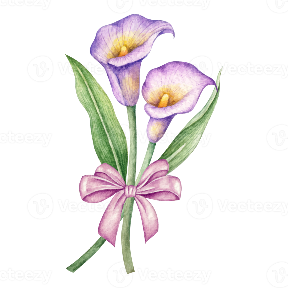 illustration de fleurs et de feuilles png