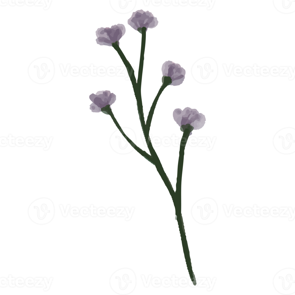 bloem en blad illustratie png