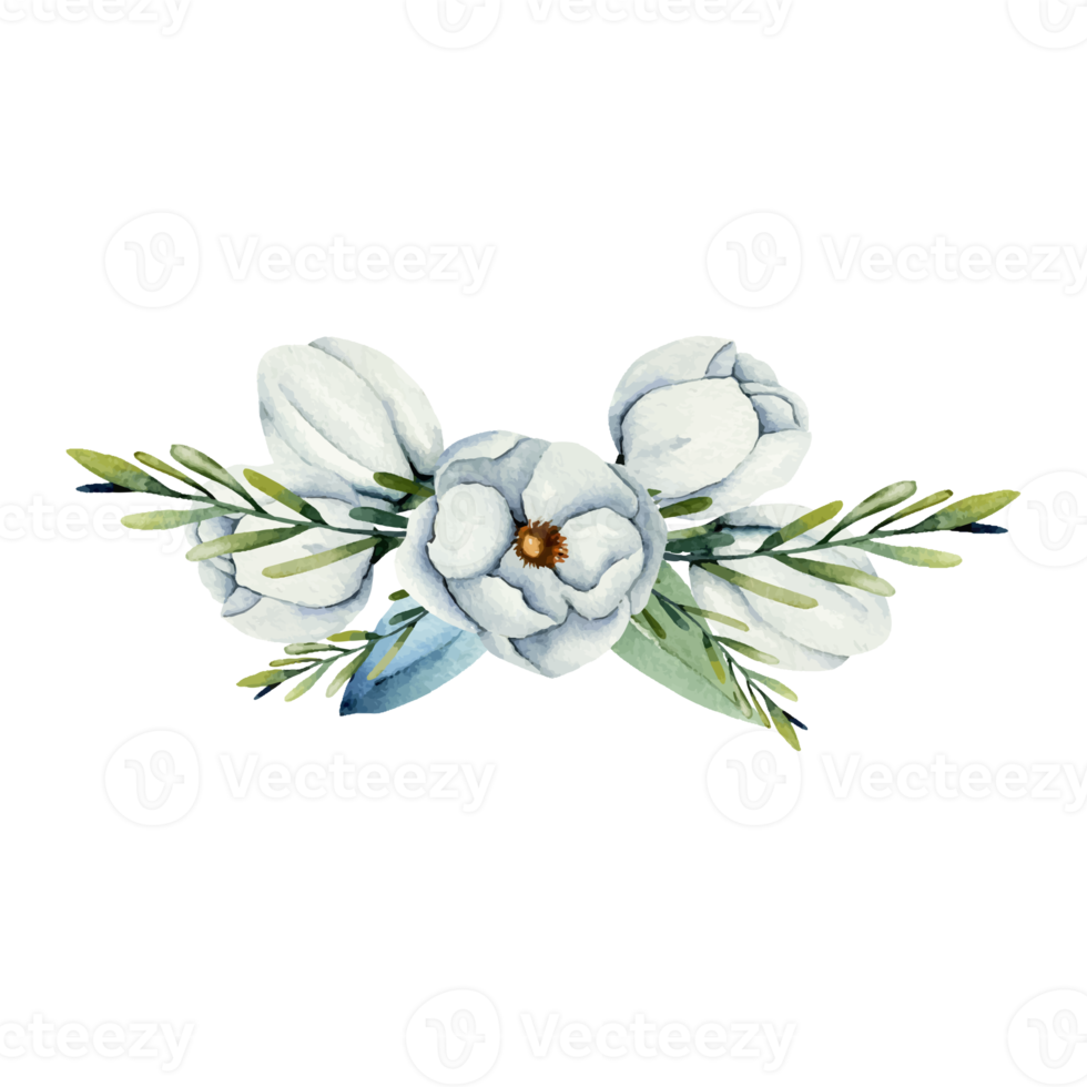 blumen- und blattillustration png