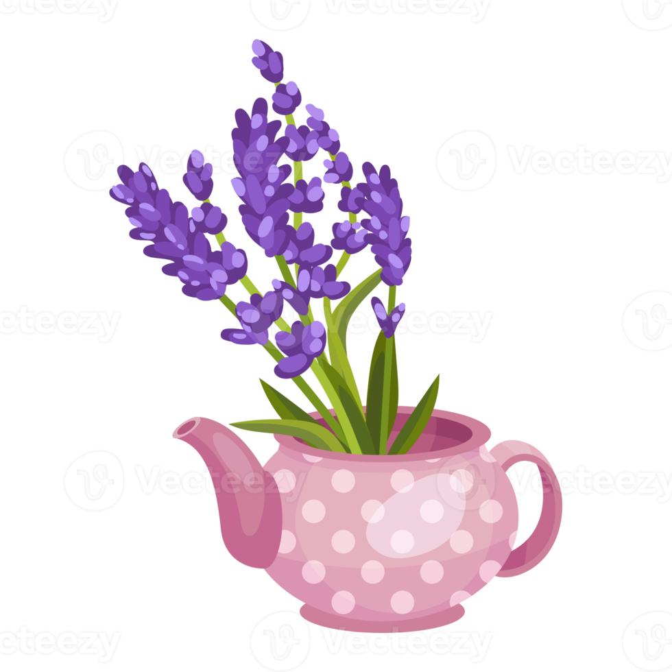 Flower and Leaf Illustration png