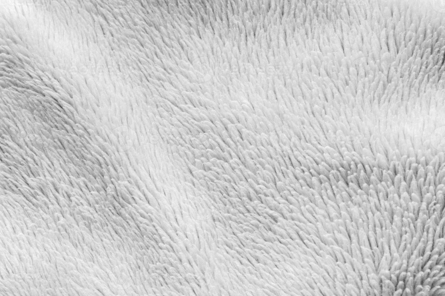 White fluffy fur fabric wool texture background photo