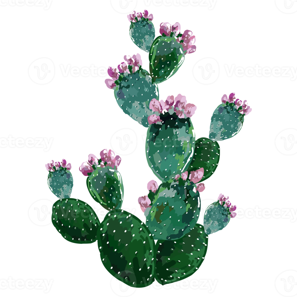 blumen- und blattillustration png