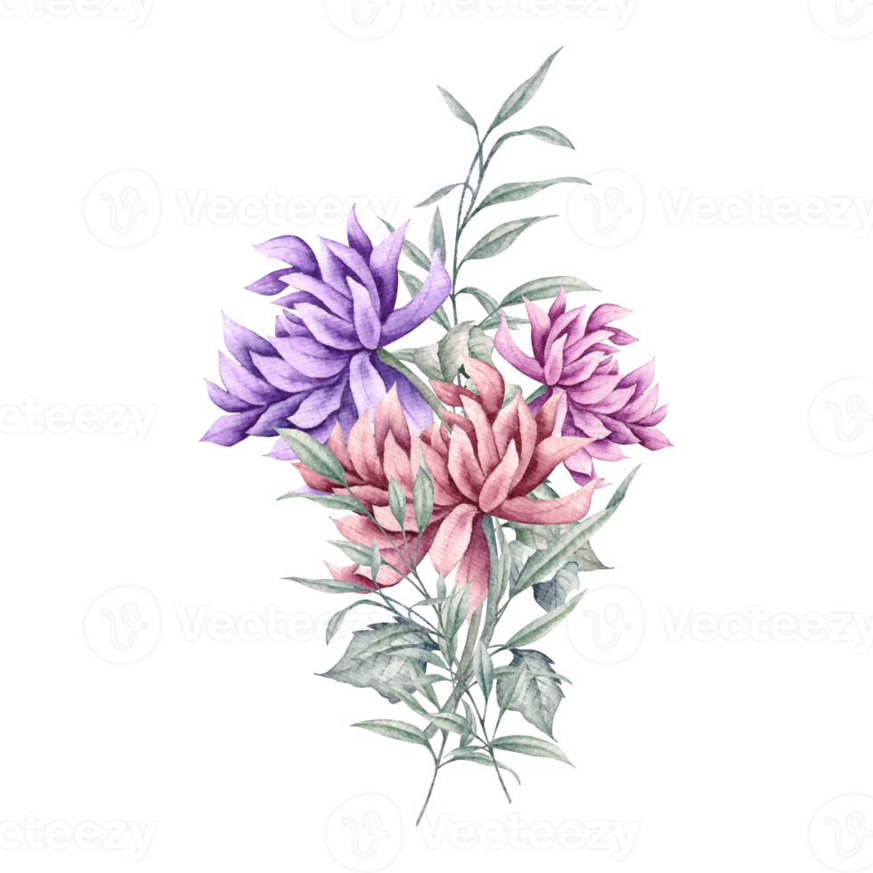 Flower and Leaf Illustration png