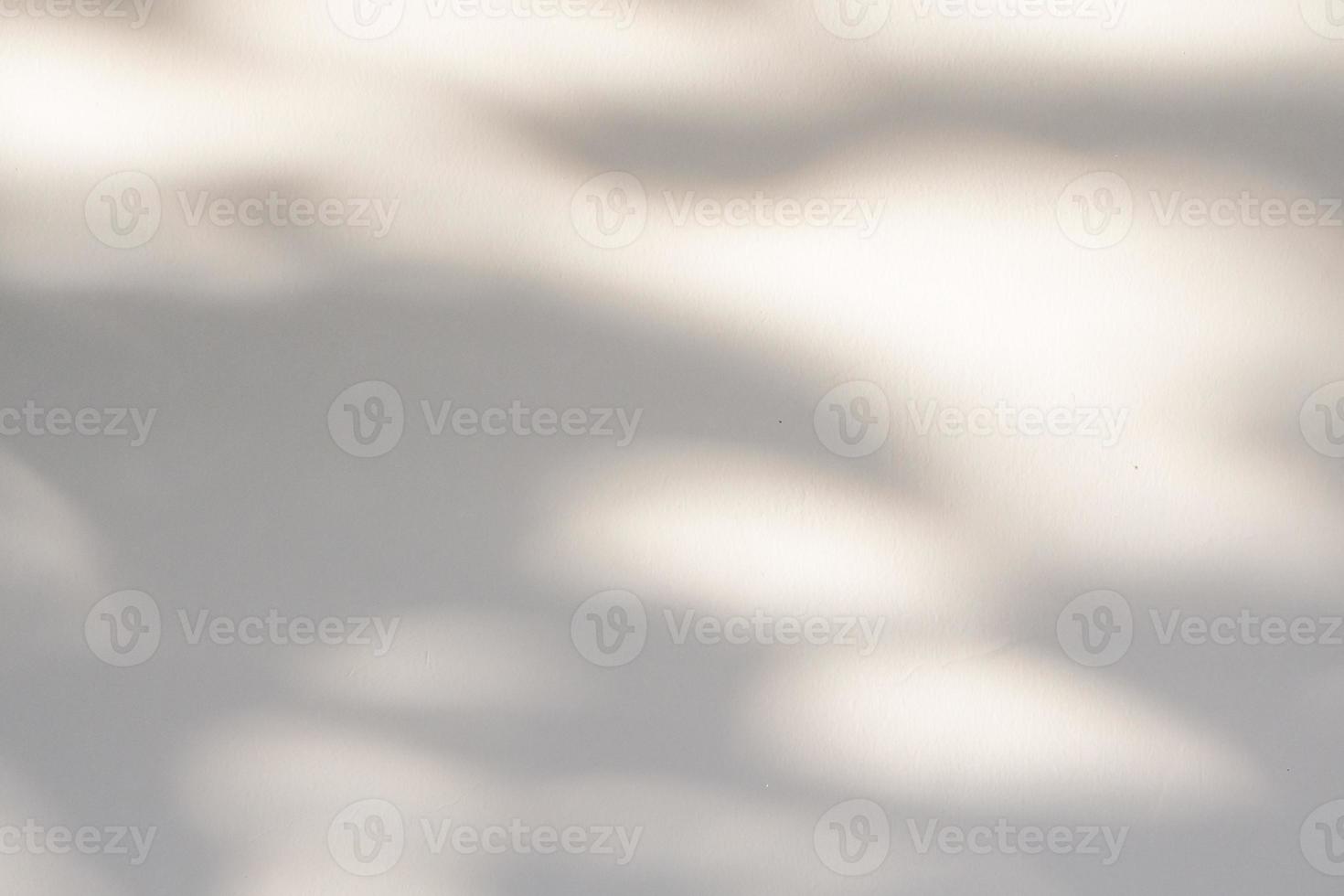 Abstract natural tree leaves shadow on white wall background photo