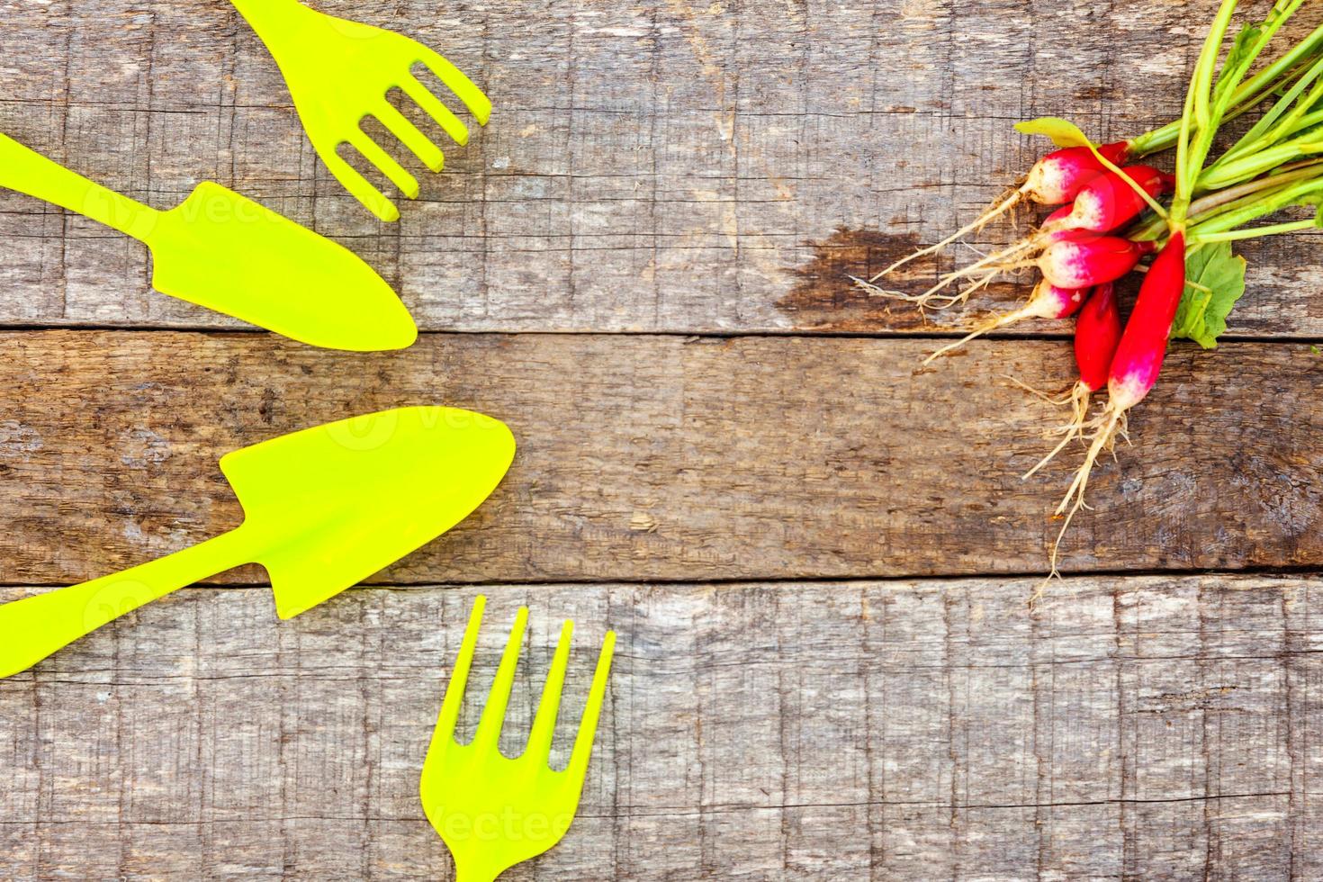 Gardening Tools on wooden background photo