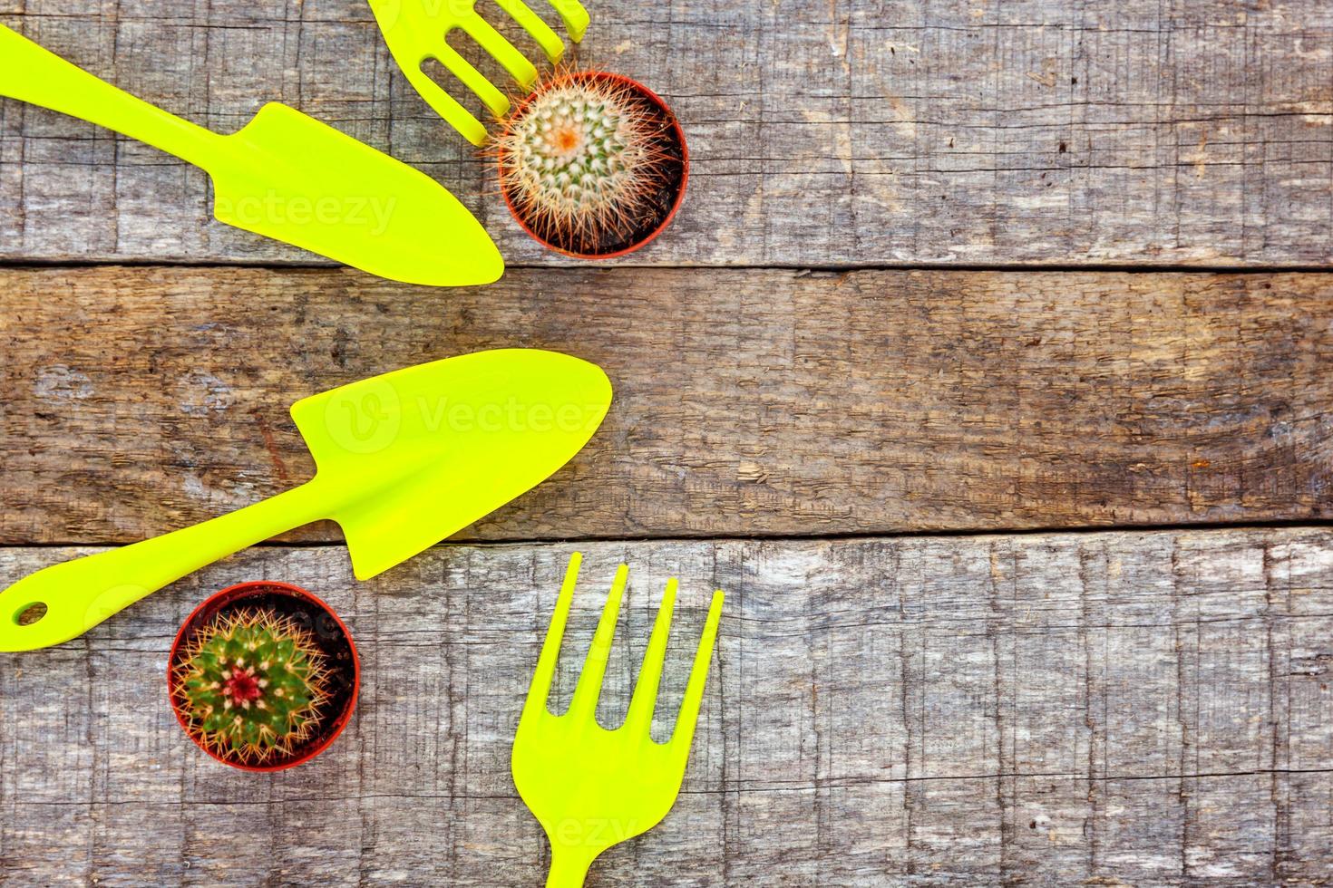 Gardening Tools on wooden background photo