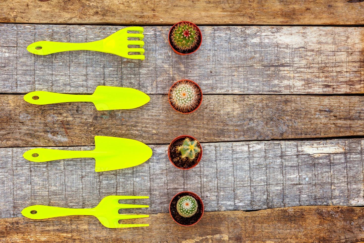 Gardening Tools on wooden background photo