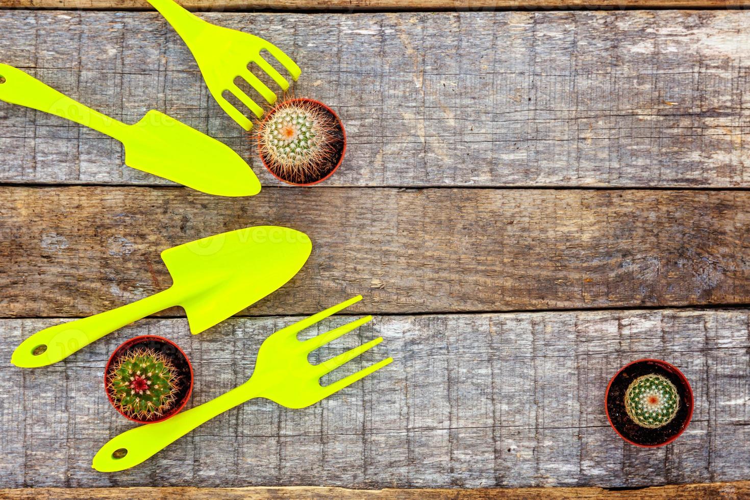 Gardening Tools on wooden background photo