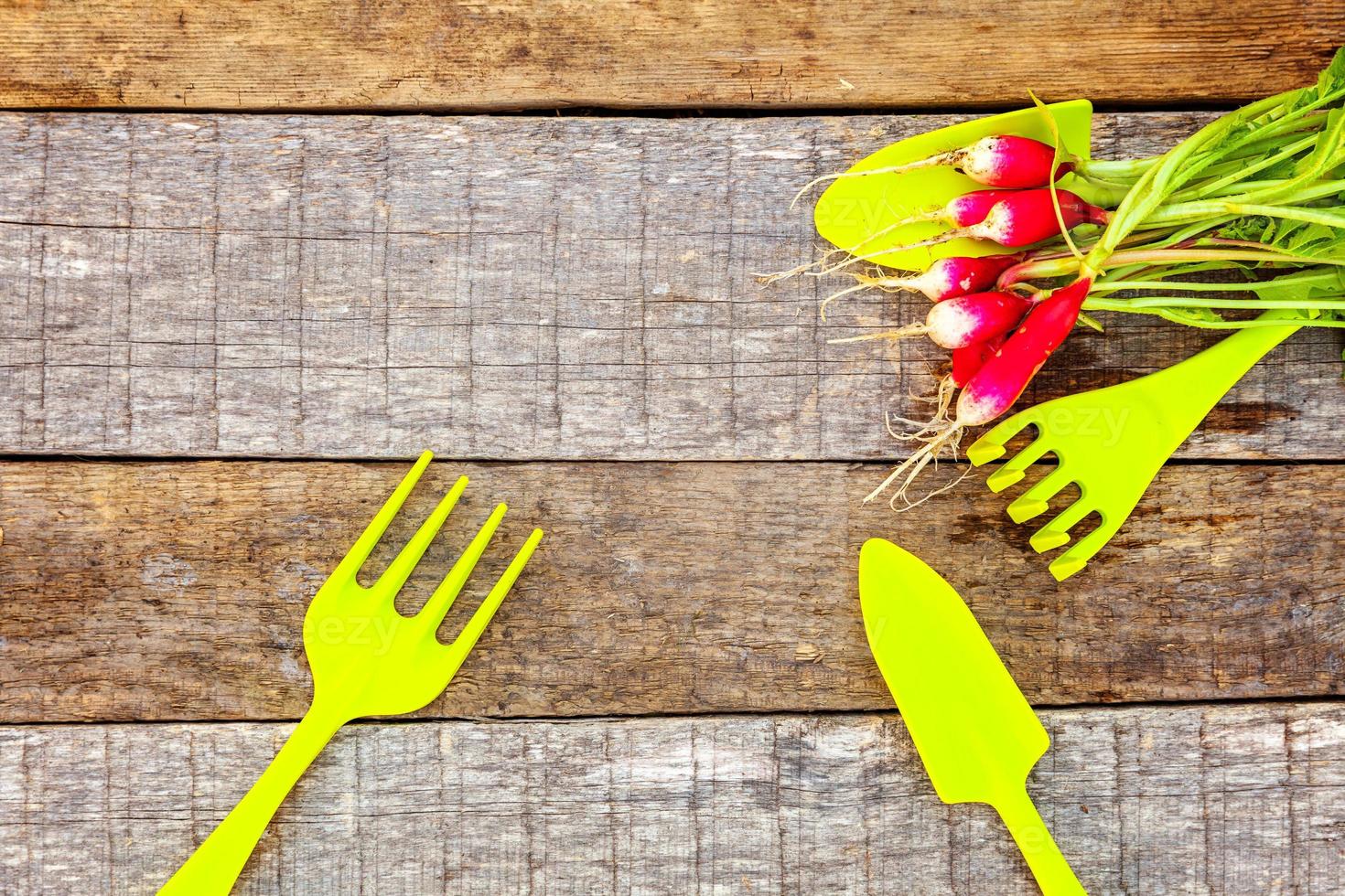 Gardening Tools on wooden background photo