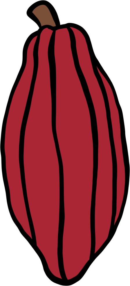 doodle freehand sketch drawing of cacao fruit. png