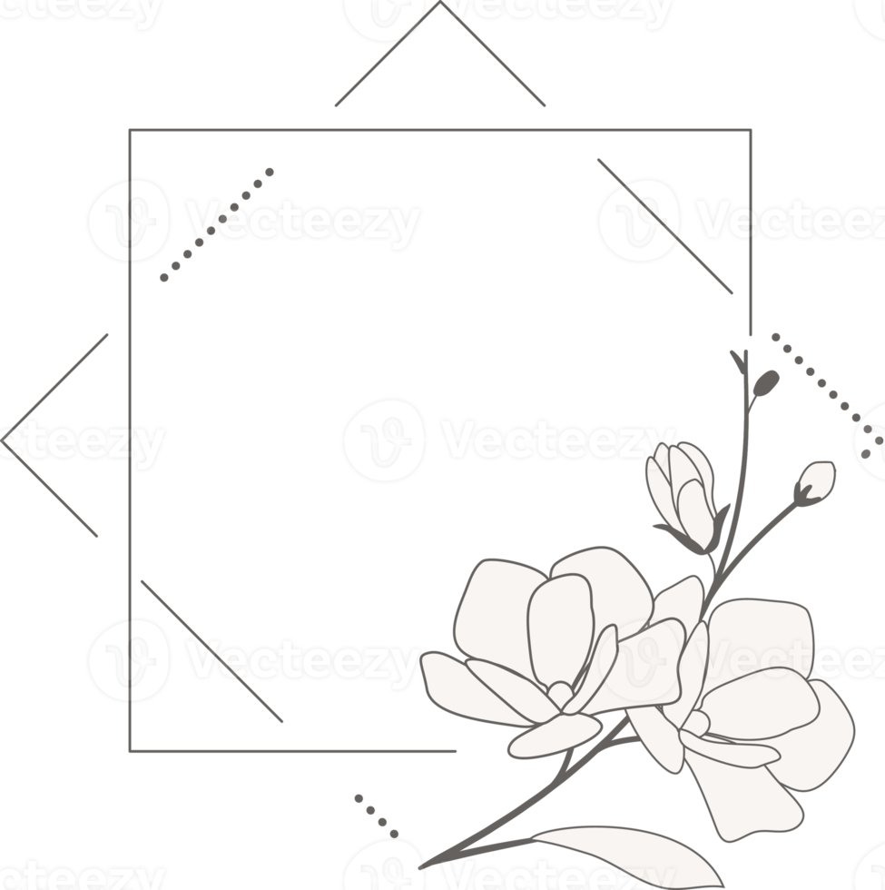 doodle line art magnolia blooming flower minimal frame for banner or logo png