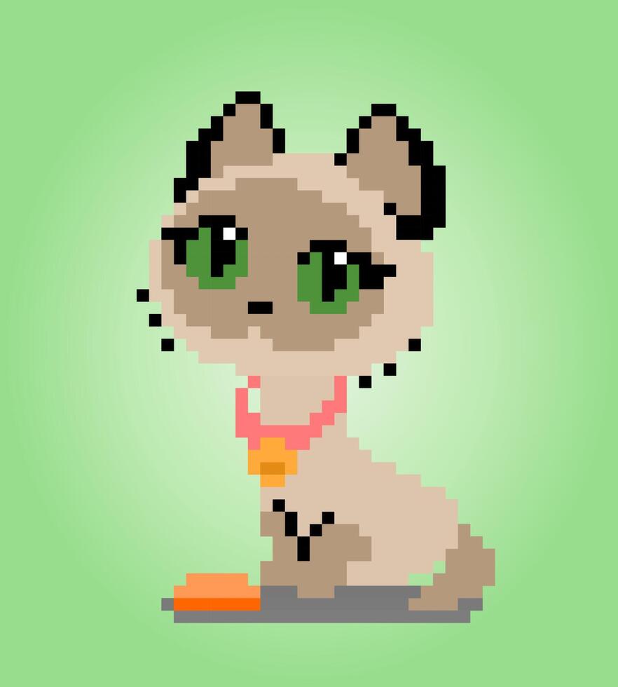 Pixel 8 bit siamese cat. Animals for game assets in vector illustration.