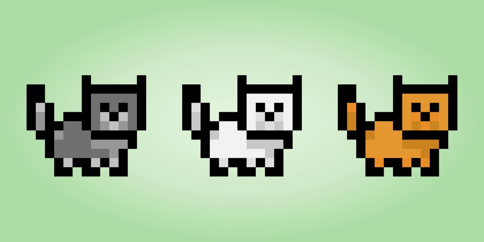 gato de píxeles de 8 bits. animales para activos de juego en ilustración vectorial. vector