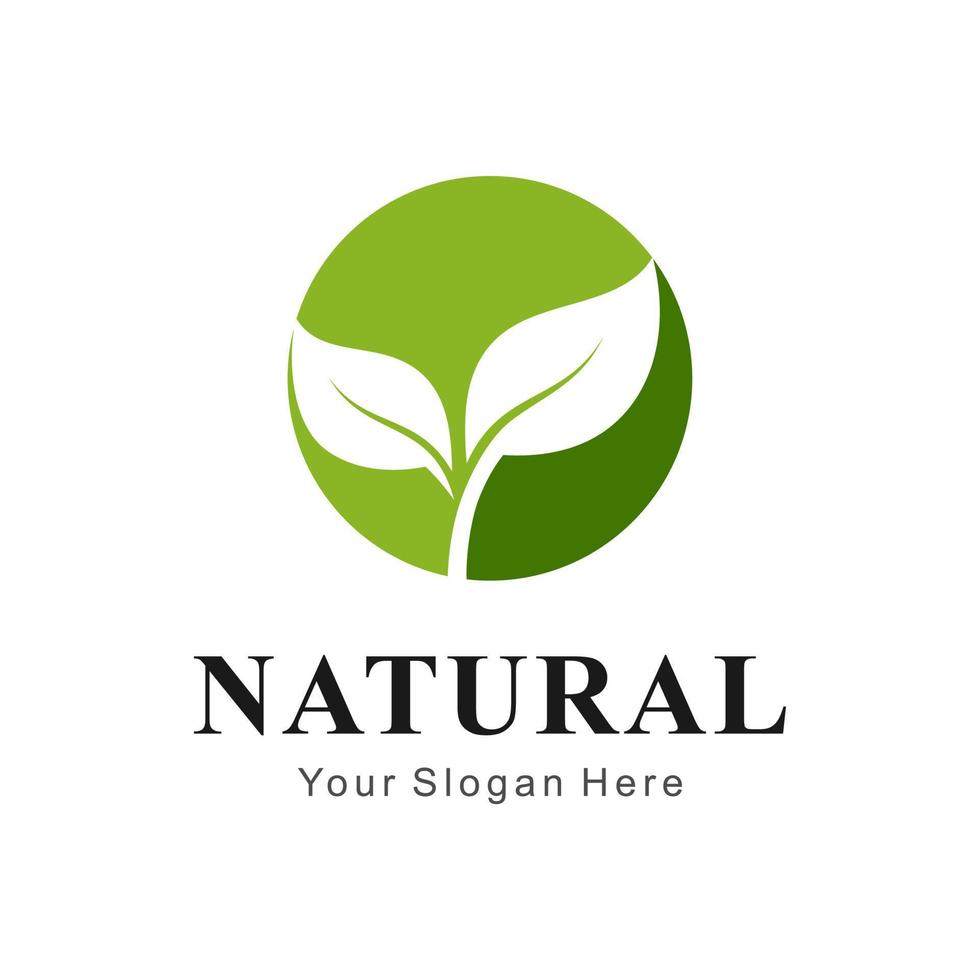 logotipo de hoja natural vector