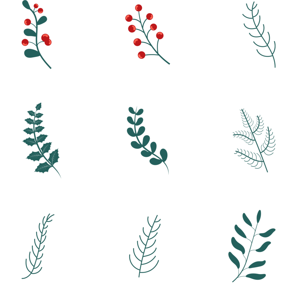 Christmas floral set on transparent background. Christmas floral decorative elements, leaves, flowers, herbs and branches botanical png