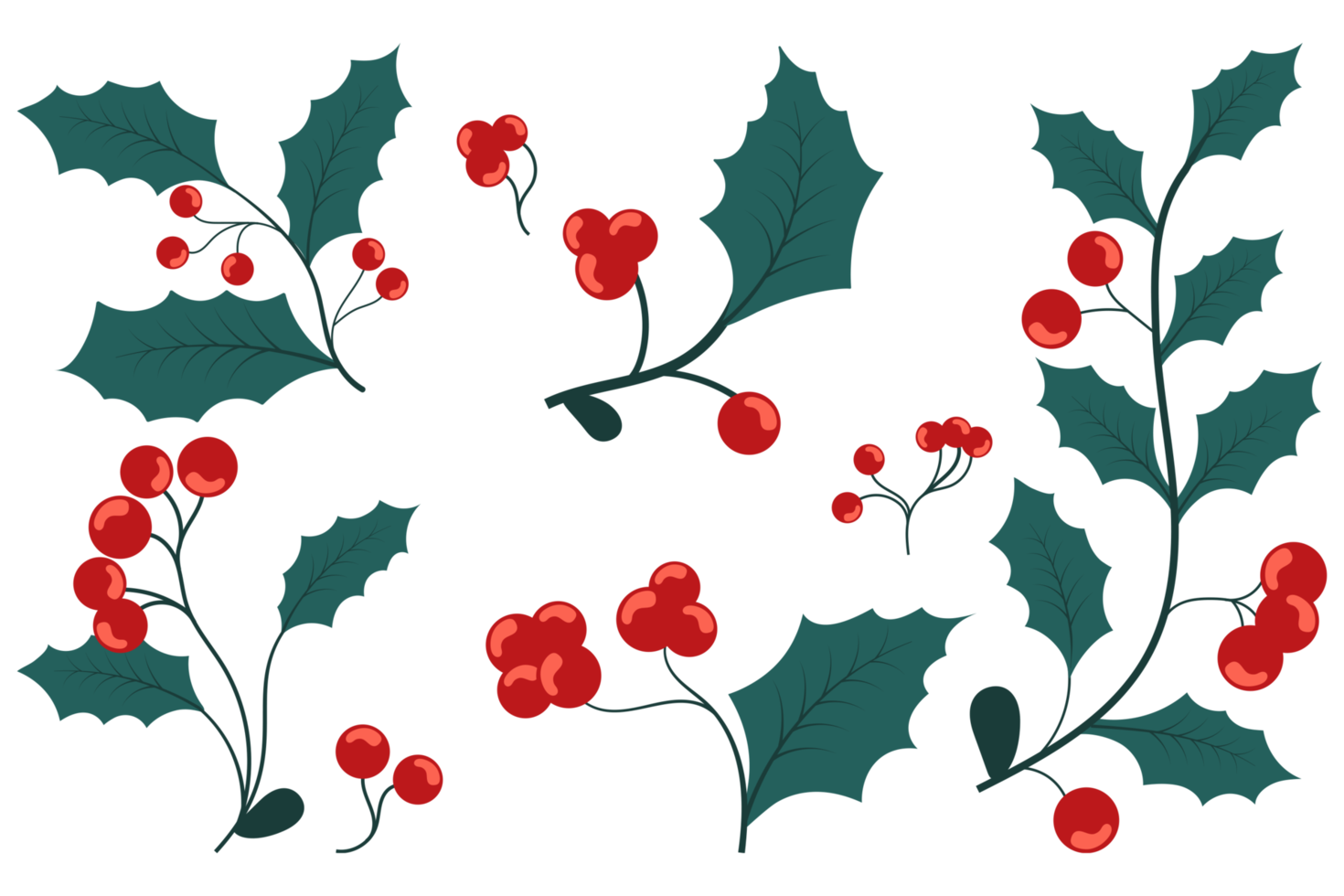 Holly leaves with red berries collection on transparent background. Christmas mistletoe elements set png