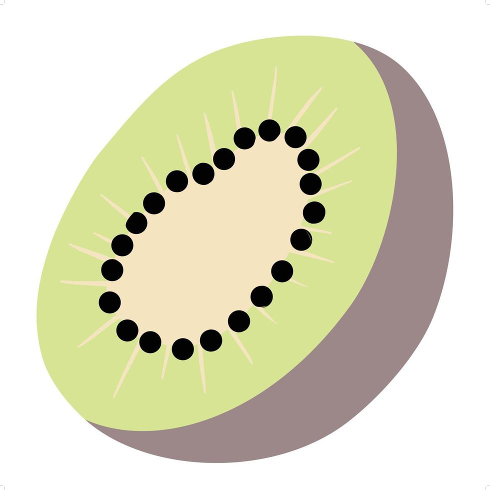 Kiwi fruit flat art vector