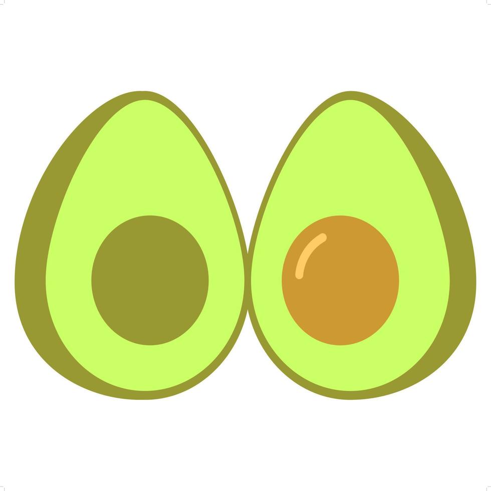 isolated avocado icon vector