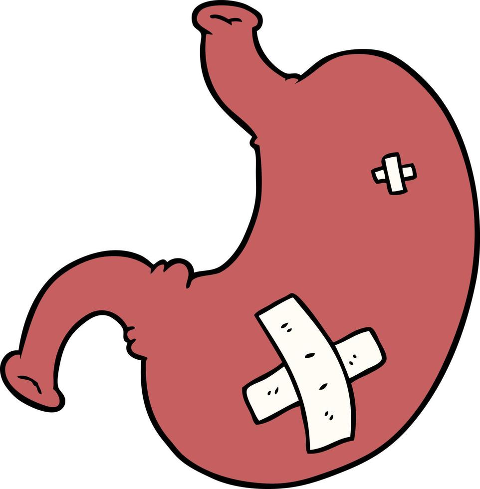 vector cartoon stomach