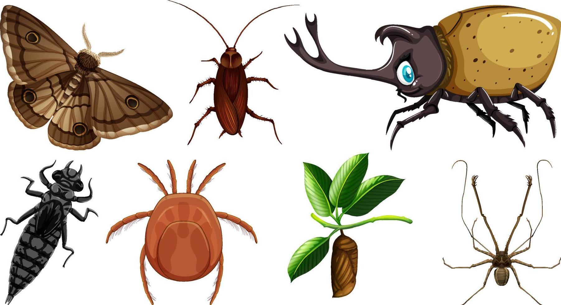 Set of different kinds of insects vector