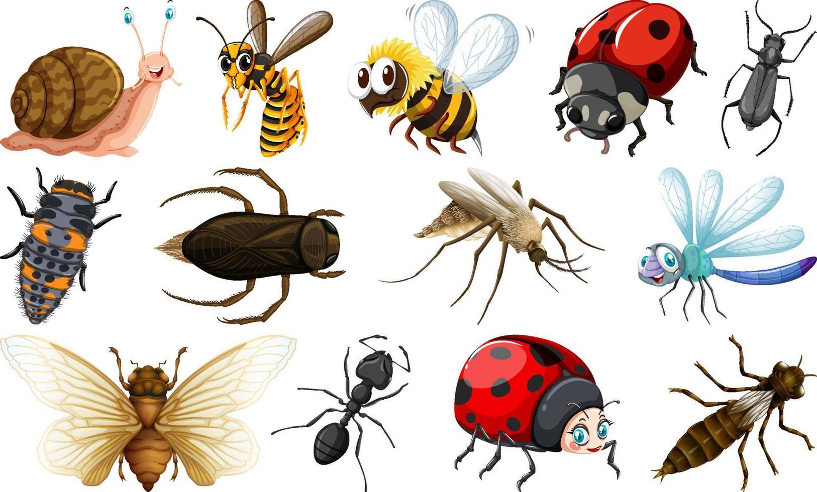 colección de diferentes tipos de insectos vector