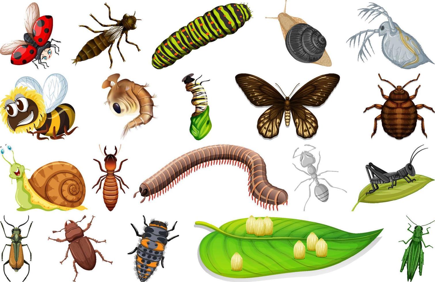 Different kinds of insects collection vector