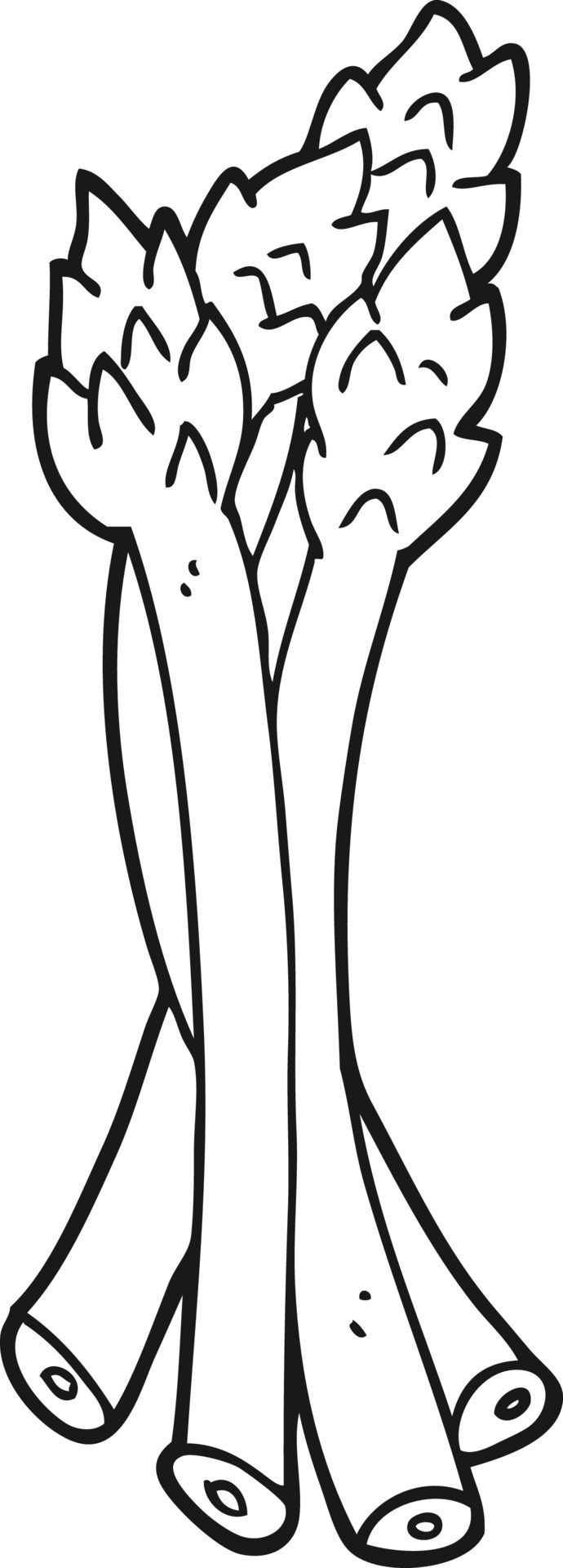 line drawing cartoon asparagus 12668782 Vector Art at Vecteezy
