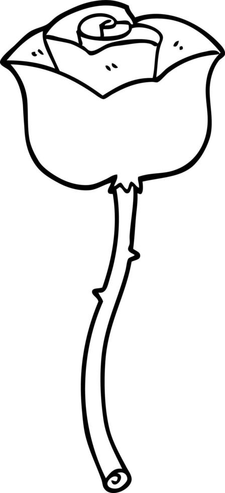line drawing rose flower vector