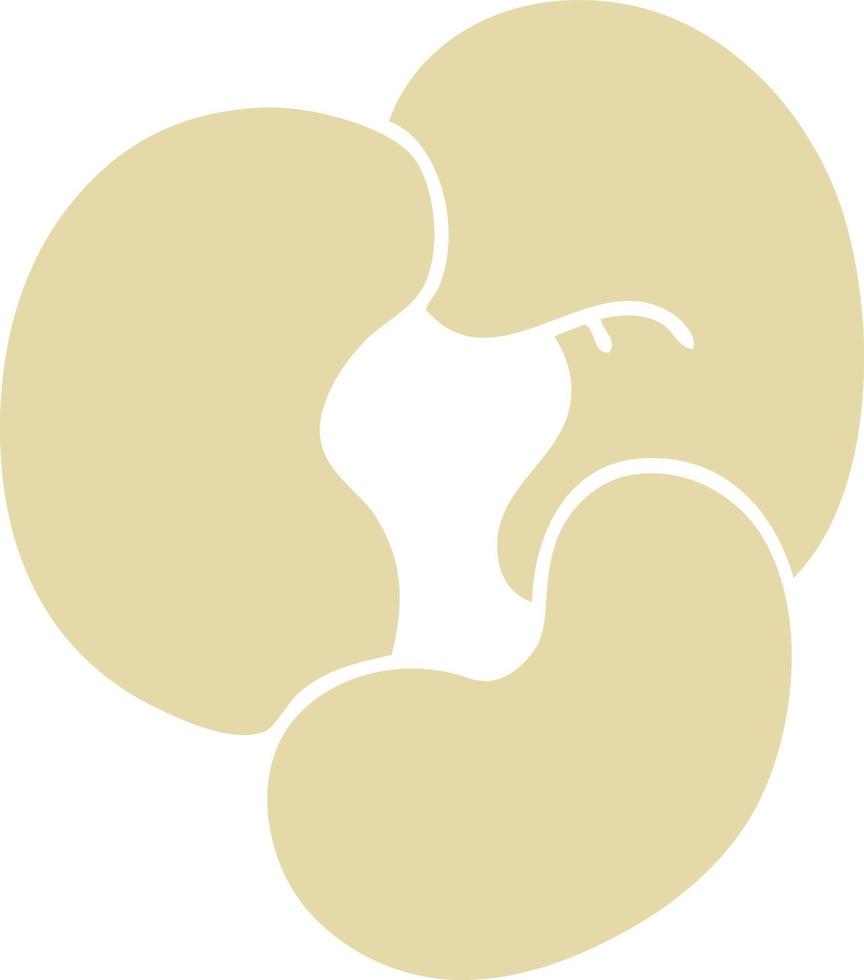 cashew nuts flat art vector