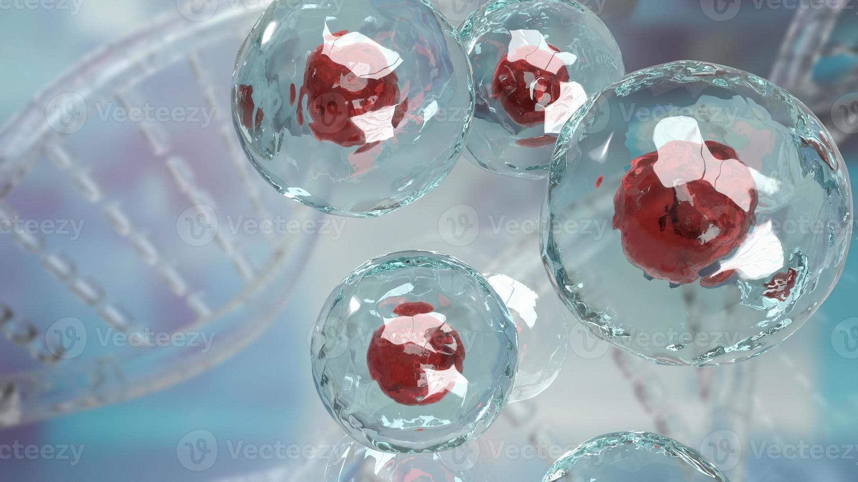 The cell image for sci or education concept 3d rendering photo