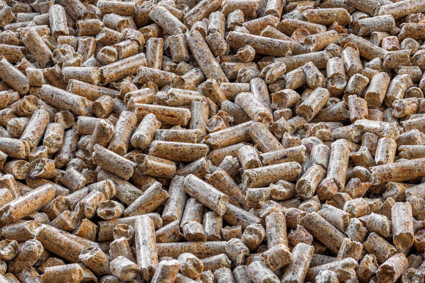 Pine pellet litter for pets and biofuel, textured background. Macro close up details, one color full frame image. photo