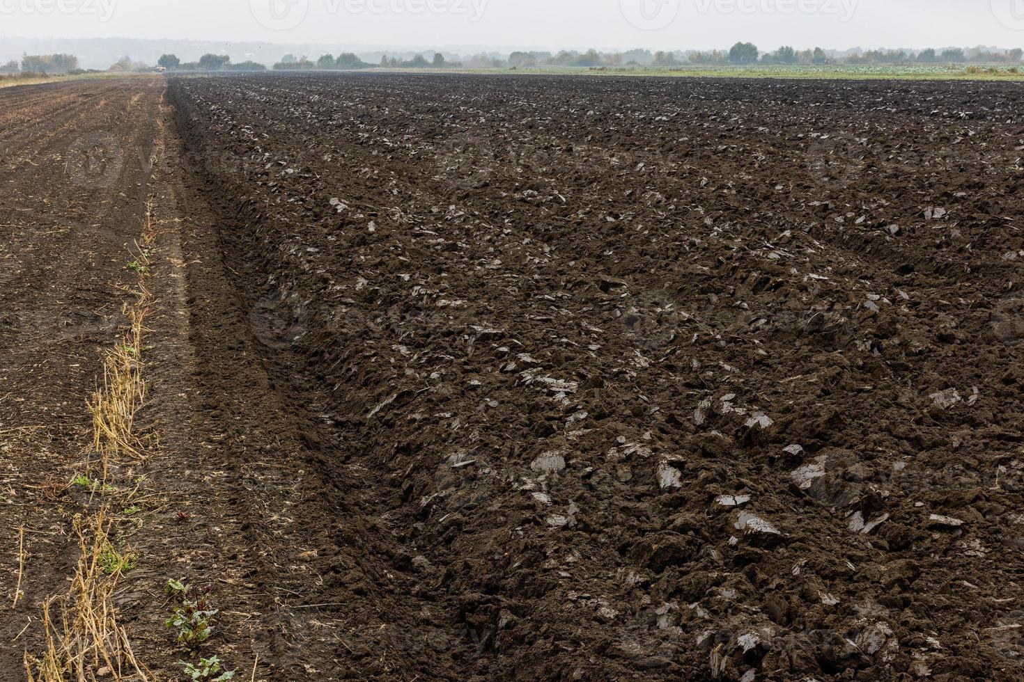 freshly plowed soil field in the foggy morning - close wide angle view with edge-to-edge sharpness photo