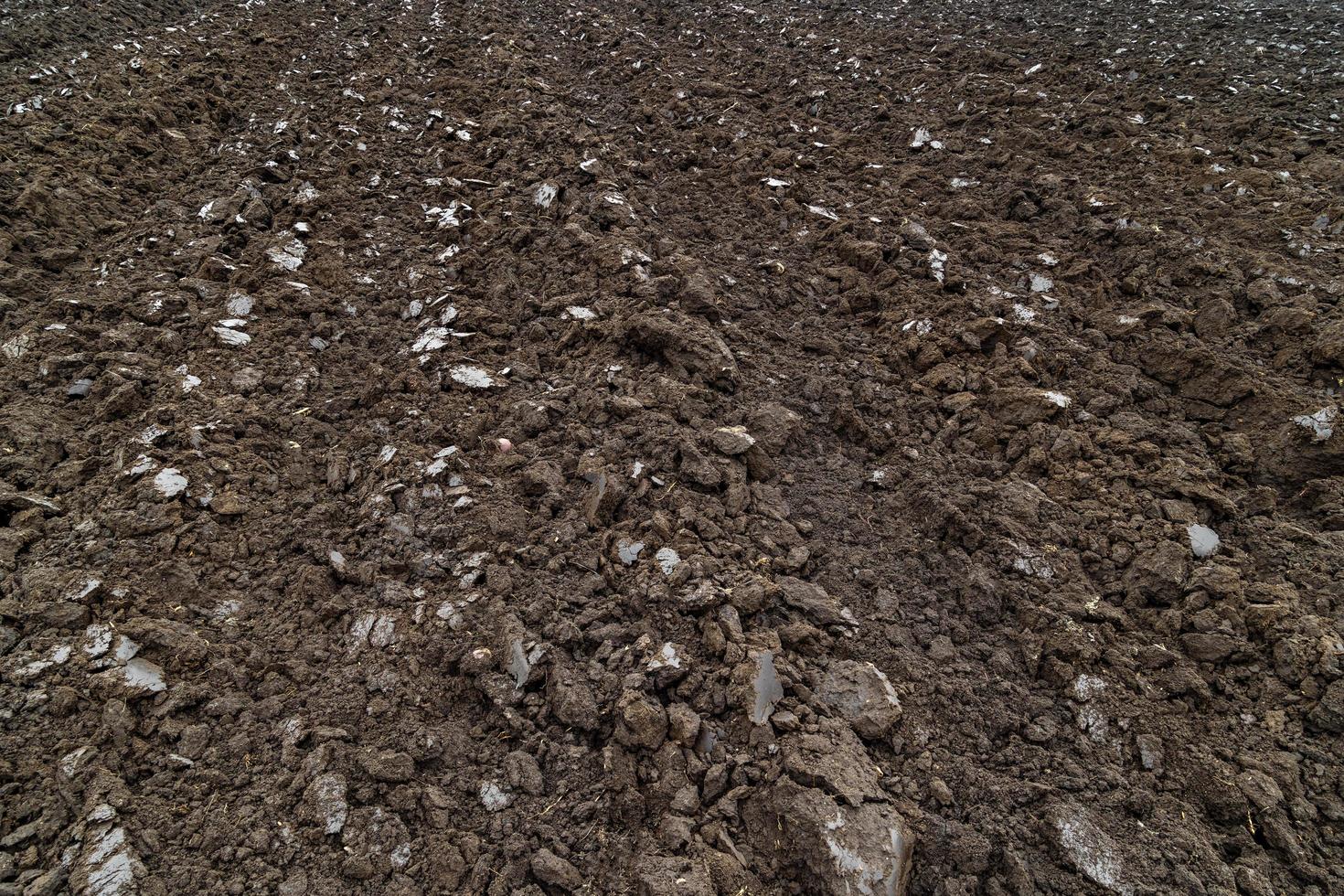 freshly plowed soil - close full frame background with edge-to-edge sharpness photo