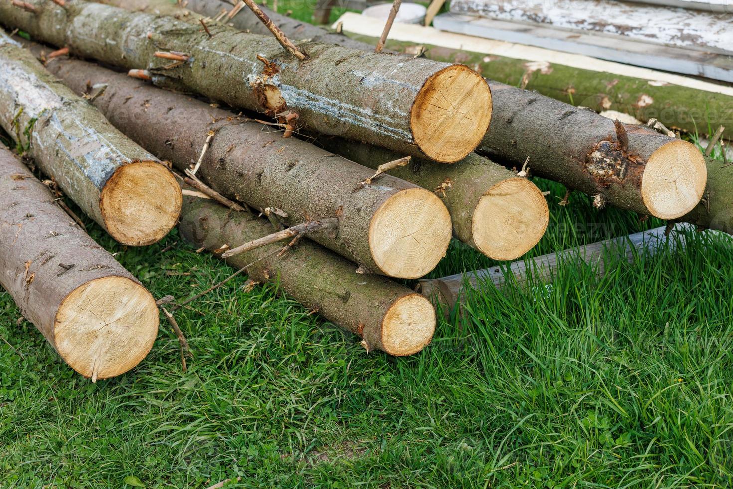 sawed pine logs laid on green grass 12670697 Stock Photo at Vecteezy