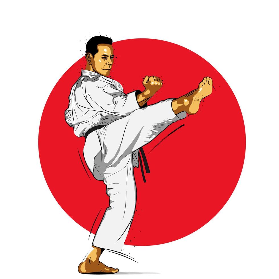 Karate is a martial art originating from Japan. vector illustrator.