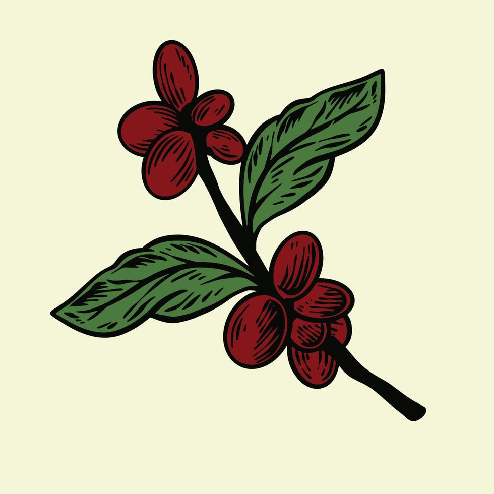 Vintage Coffee Leaf Illustration vector