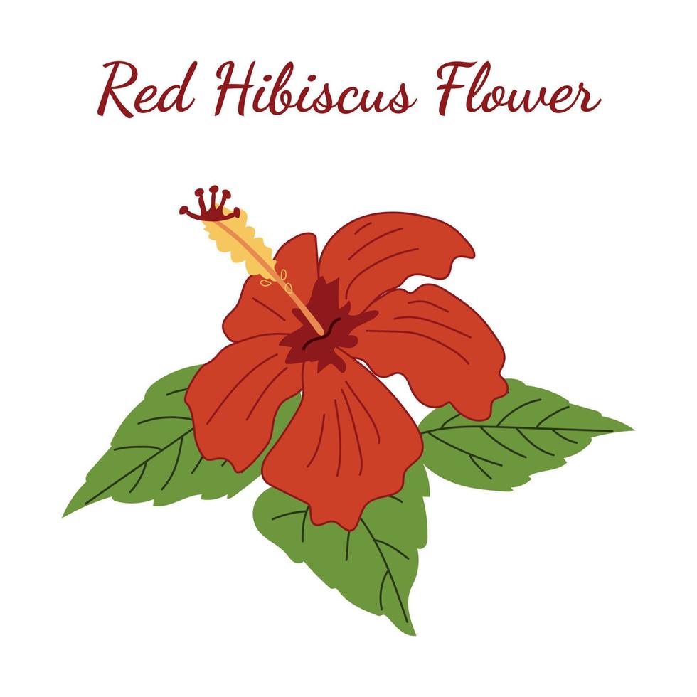 Red Hibiscus Flower for logo vector
