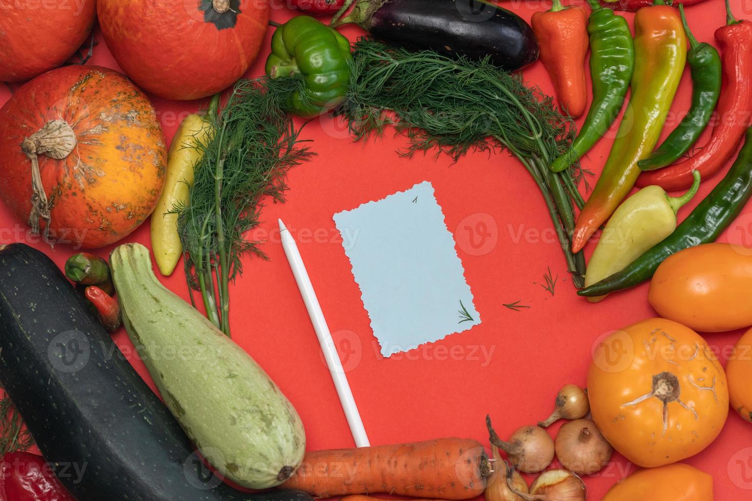 Vegetables are laid out around a sheet of paper and a pencil. Empty space for text. Vegetables, empty blank for recipe on a red background. photo