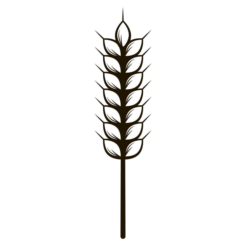 Wheat in hand drawn style vector