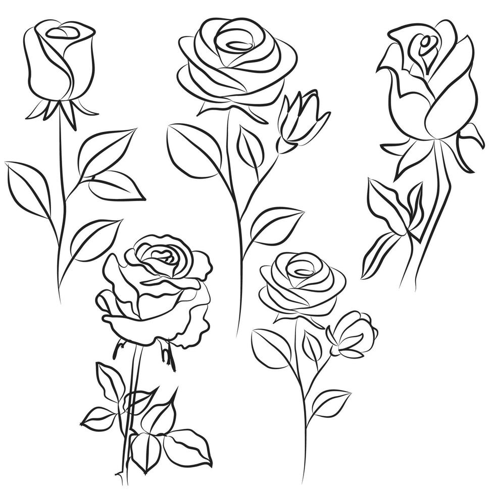 Rose line drawing Images vector