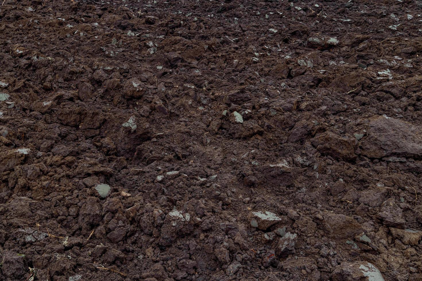 freshly plowed soil - close full frame background with edge-to-edge sharpness photo